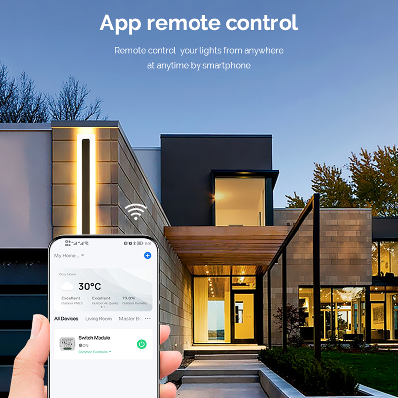 Módulo de Interruptor Intelige - Smart Home Integration reseña y precio